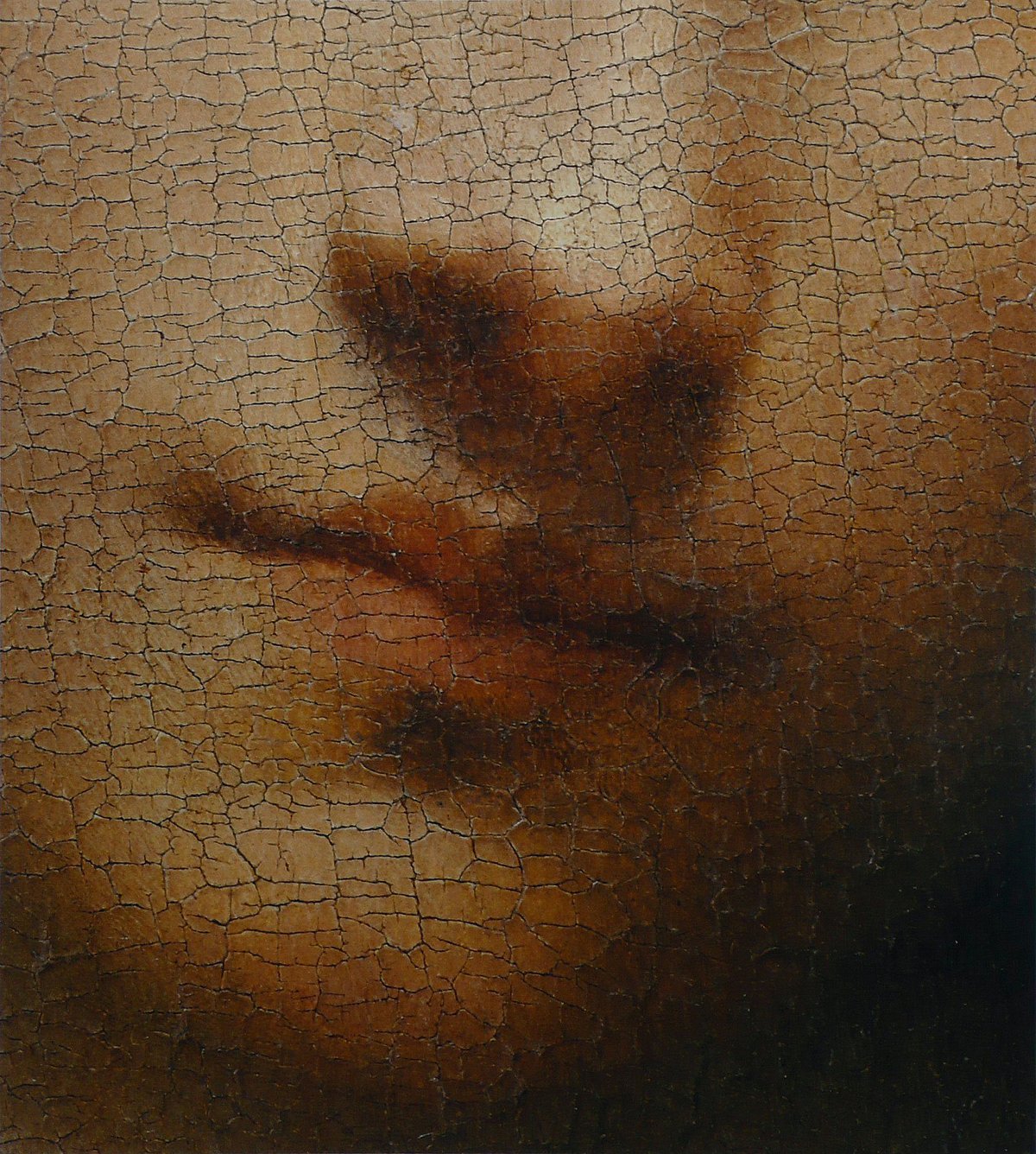 Giorgione's Boy with an Arrow, an oil painting whose aged surface shows craquelure typical of drying oil films.