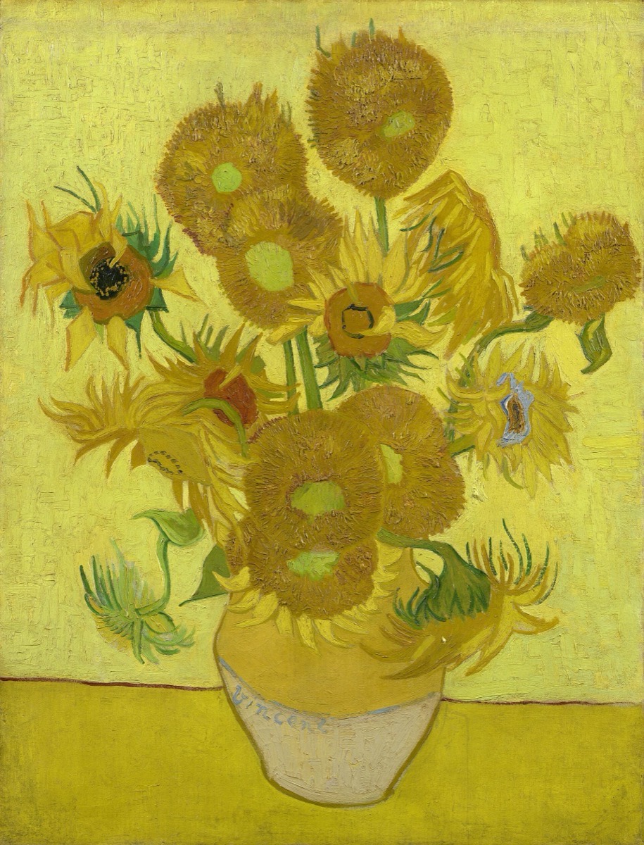 Sunflowers, January 1889: sunflowers in a yellow earthenware vase against a yellow ground, with several flower heads now reading brown rather than yellow